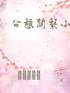 公憩关系小说