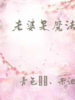 老婆是魔法少女