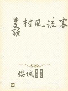 农村风流寡妇小说