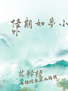 佳期如梦小说番外