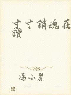 寸寸销魂在线阅读