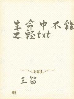生命中不能承受之轻txt