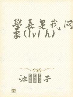学长是我网恋对象(1v1 h)