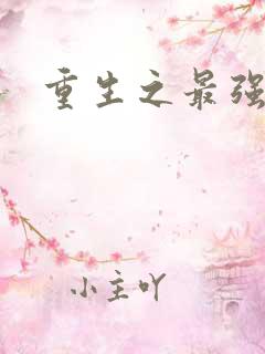 重生之最强名人