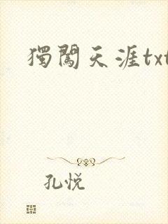 独闯天涯txt