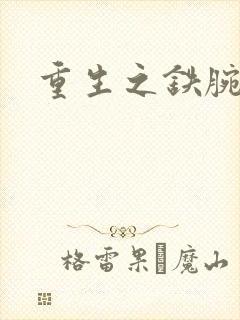 重生之铁腕大亨