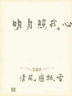 明月照我心小说