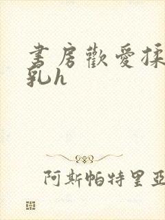 书房欢爱揉捏娇乳h