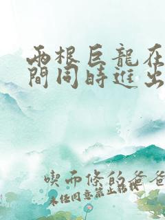 两根巨龙在她腿间同时进出