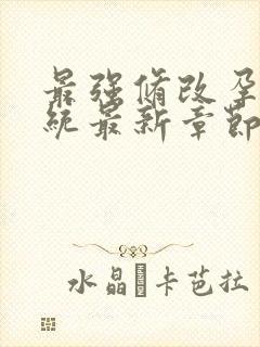 最强修改孕妇系统最新章节