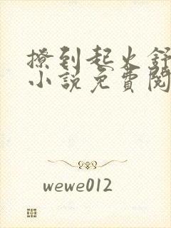 撩到起火舒漾的小说免费阅读全文