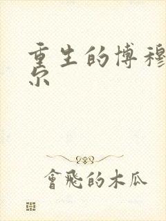 重生的博穆博果尔