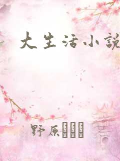 大生活小说