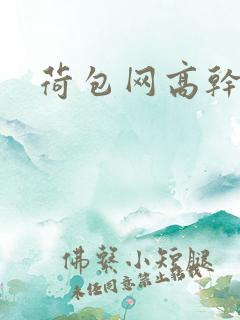 荷包网高干文