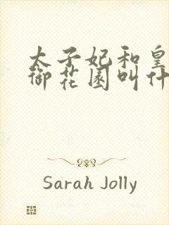 太子妃和皇帝在御花园叫什么小说