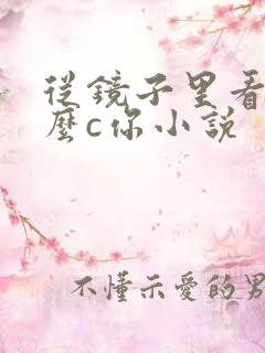 从镜子里看我怎么c你小说