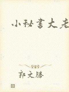 小秘书大老婆