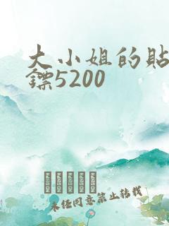 大小姐的贴身保镖5200