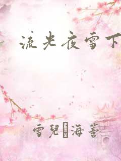 流光夜雪下载