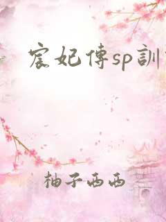宸妃传sp训诫