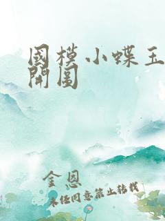 国模小蝶玉门大开图