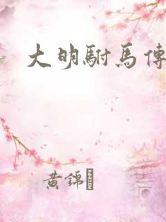 大明驸马传
