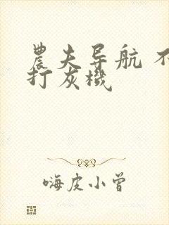 农夫导航 不准打灰机