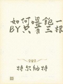 如何喂饱一只猫BY只有三根头发