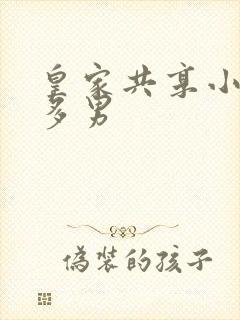 皇家共享小公主多男