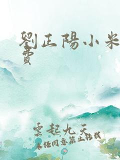 刘正阳小米多免费