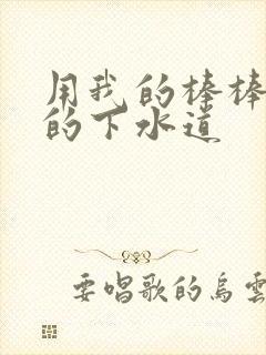 用我的棒棒通你的下水道