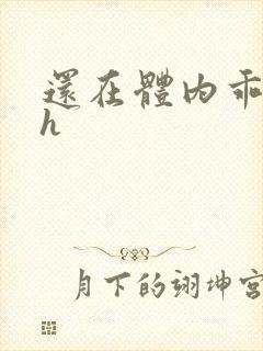 还在体内乖吃饭h