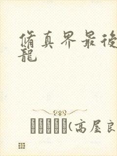 修真界最后一条龙