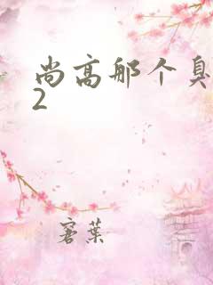 尚高那个臭小子2
