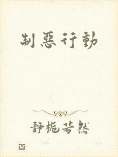 制恶行动