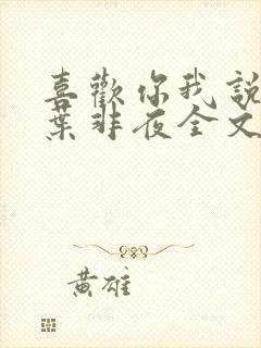 喜欢你我说了算叶非夜全文免费阅读