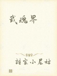 武魂界