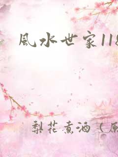 风水世家118