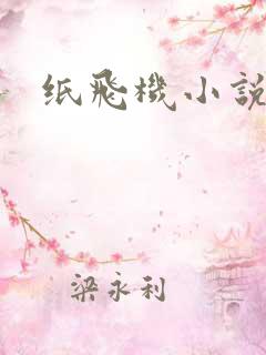 纸飞机小说