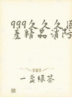 999久久久国产精品消防器材