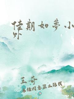 佳期如梦小说番外