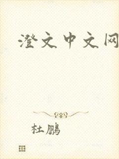 澄文中文网
