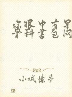 你眼中有星辰h骨科书包网