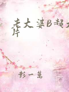 老大婆B超大图片