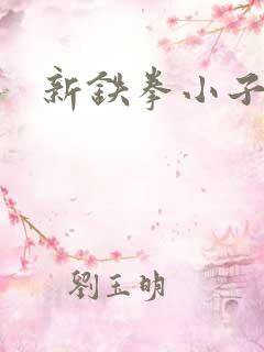 新铁拳小子