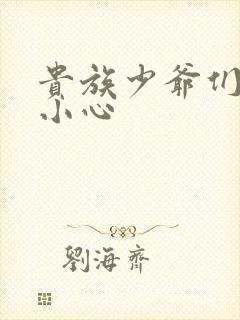 贵族少爷们 请小心