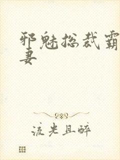 邪魅总裁霸占新妻