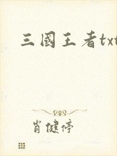 三国王者txt