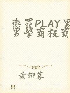 惩罚PLAY男男学霸校霸