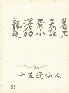 龙泽景天慕容青莲的小说免费阅读